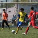 inferiores