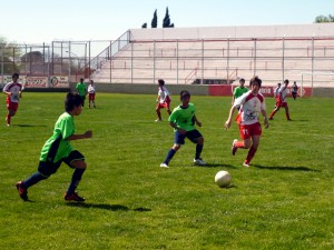 Perdieron los locales