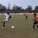 olimpo goleo