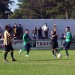 preparacion