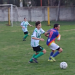gano colegiales
