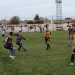 estadio Catale