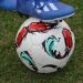 pelota oficial