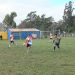 Agrario sigue puntero