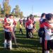 campeon